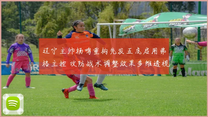 辽宁主帅杨鸣重构先发五虎启用弗格主控 攻防战术调整效果多维透视
