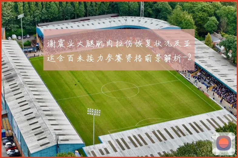 谢震业大腿肌肉拉伤恢复状况及亚运会百米接力参赛资格前景解析